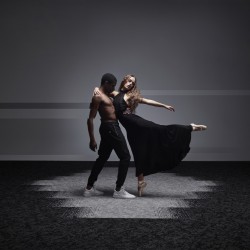 Mocheta dale negru Vision cod 991 Mocheta dale negru Vision cod 991