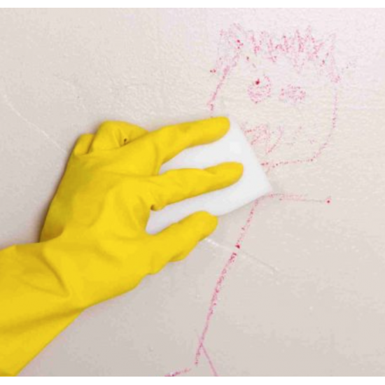 Burete SANO MAGIC SPONGE 2 buc/ set