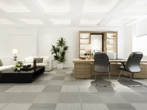 Covoarele Profesionale: Alegerea Ideala pentru Spații Curate și Elegante