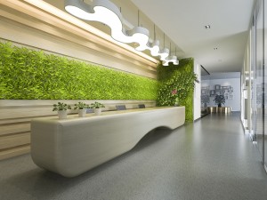 Dotează igienic intrările în spațiul tău de business, pentru o bună curățenie și siguranță!