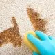 CARPET CLEANER, AQAS, 5L